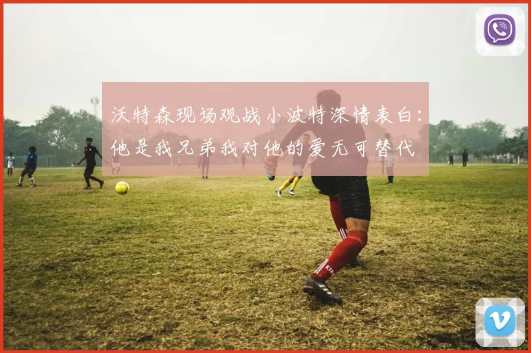 沃特森现场观战小波特深情表白：他是我兄弟我对他的爱无可替代